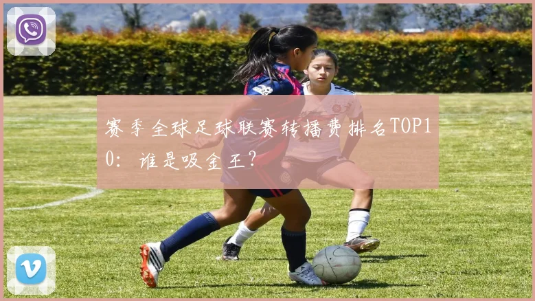 赛季全球足球联赛转播费排名TOP10:谁是吸金王?