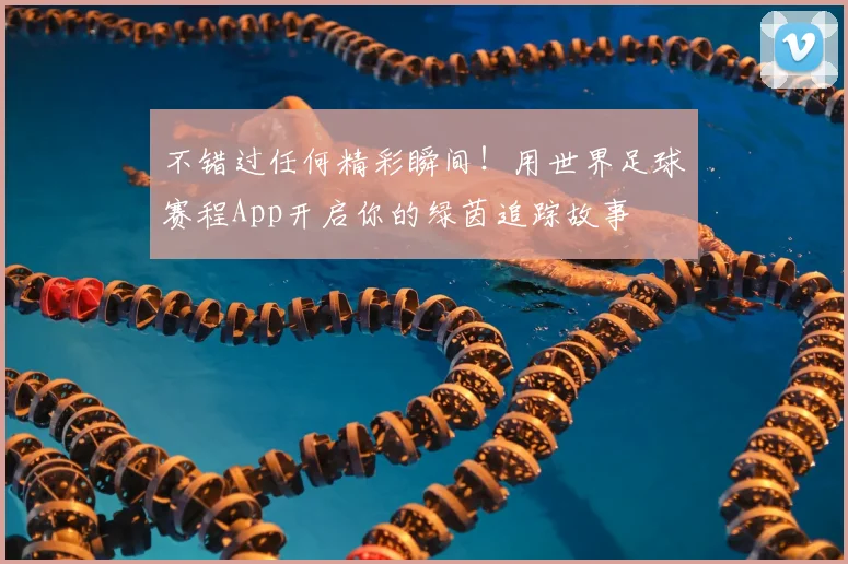 不错过任何精彩瞬间！用世界足球赛程App开启你的绿茵追踪故事